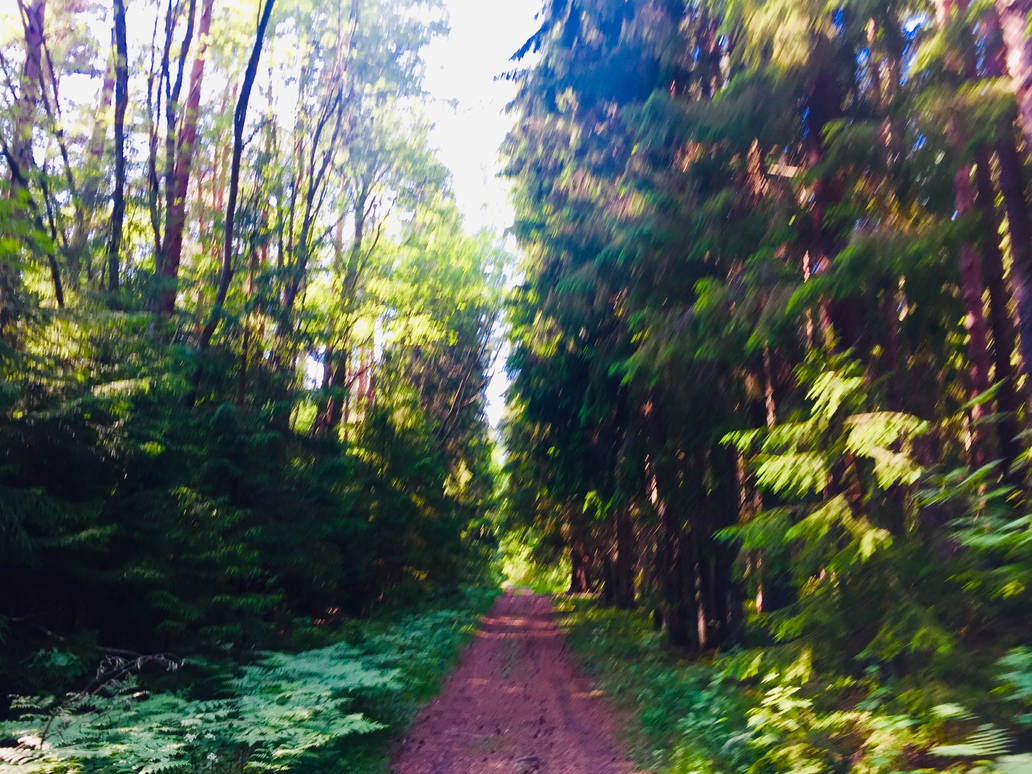 Red path by ValgeKaartlane on DeviantArt