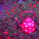 Roses and Tea. by mademoiselle-N