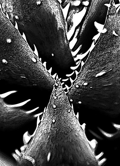 Sharp Tooth by PicME on DeviantArt