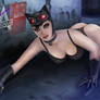 Catwoman sneaking nude V5