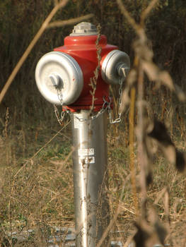 Meadow Hydrant