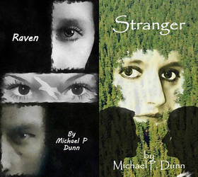 Raven, Stranger Covers