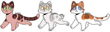 3 Cat Adopts - CLOSED