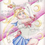 Fan Art - Sailor Moon - 2008