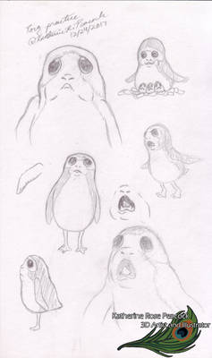 Porg Practice - 2017