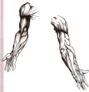 Arm practice