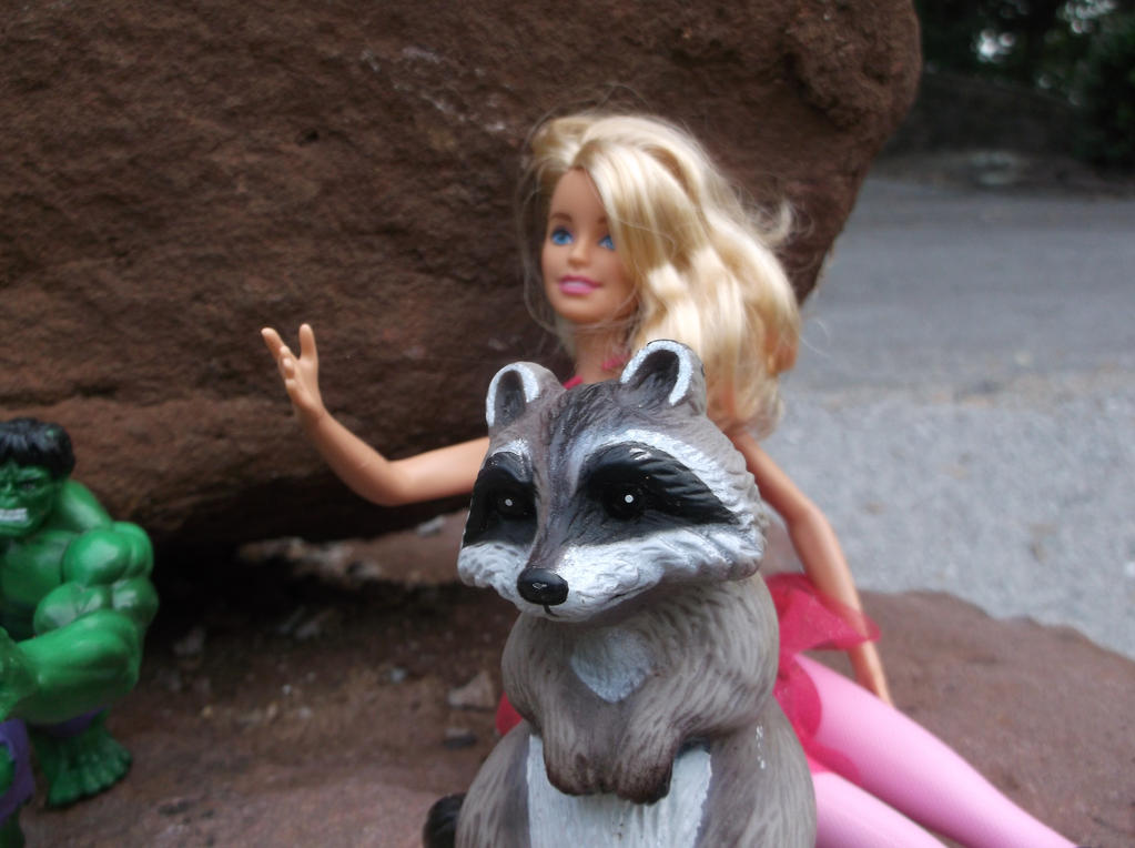 Barbie Rascal Barbie and Raccoon by PoisonedSeaSerpent on DeviantArt