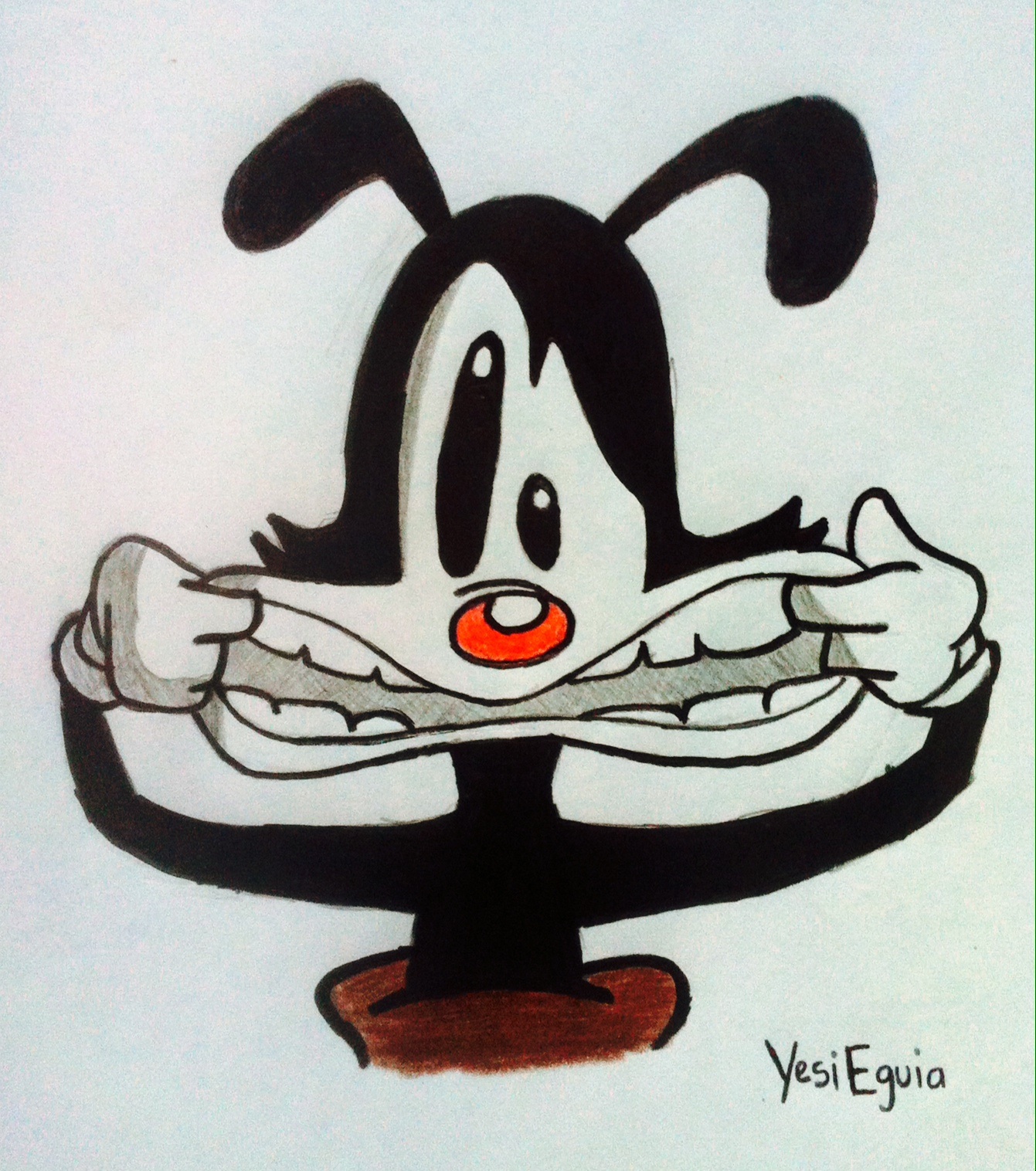 Yakko Silly Face