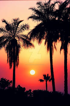 Gambian sunset