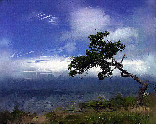 LonelyTree