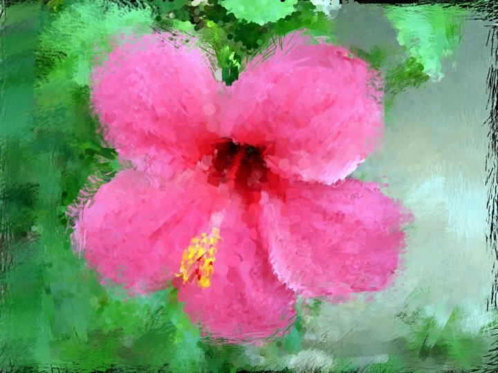 PinkFlower