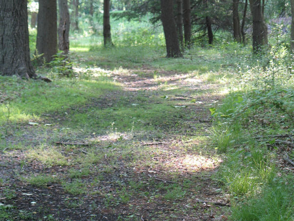 Sideways path by narupotter on DeviantArt
