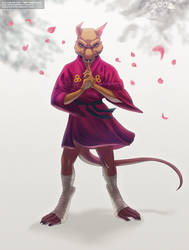 TMNT : Shinobi Master Splinter