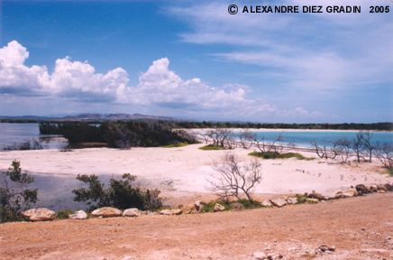 Cabo Rojo 2