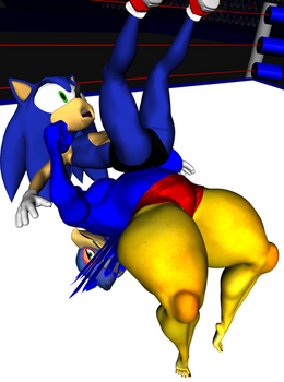 Pro Wrestling: Falco Vs. Sonic