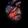 The heart of Buzz Aldrin