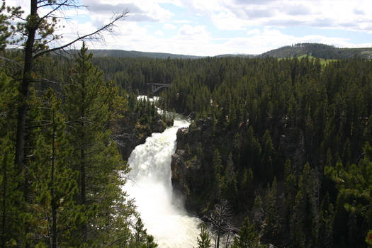 Falls of Yellowstone II