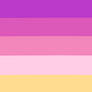 Project 5x5: Lesbian Pride Flag