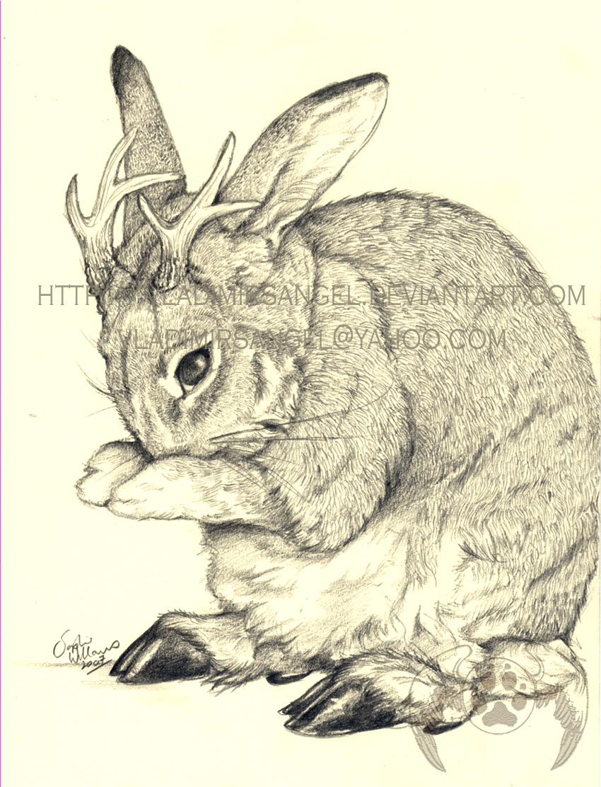 J is for Jackelope