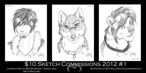 $10 Commission Sketches 2012 - BecSparrow