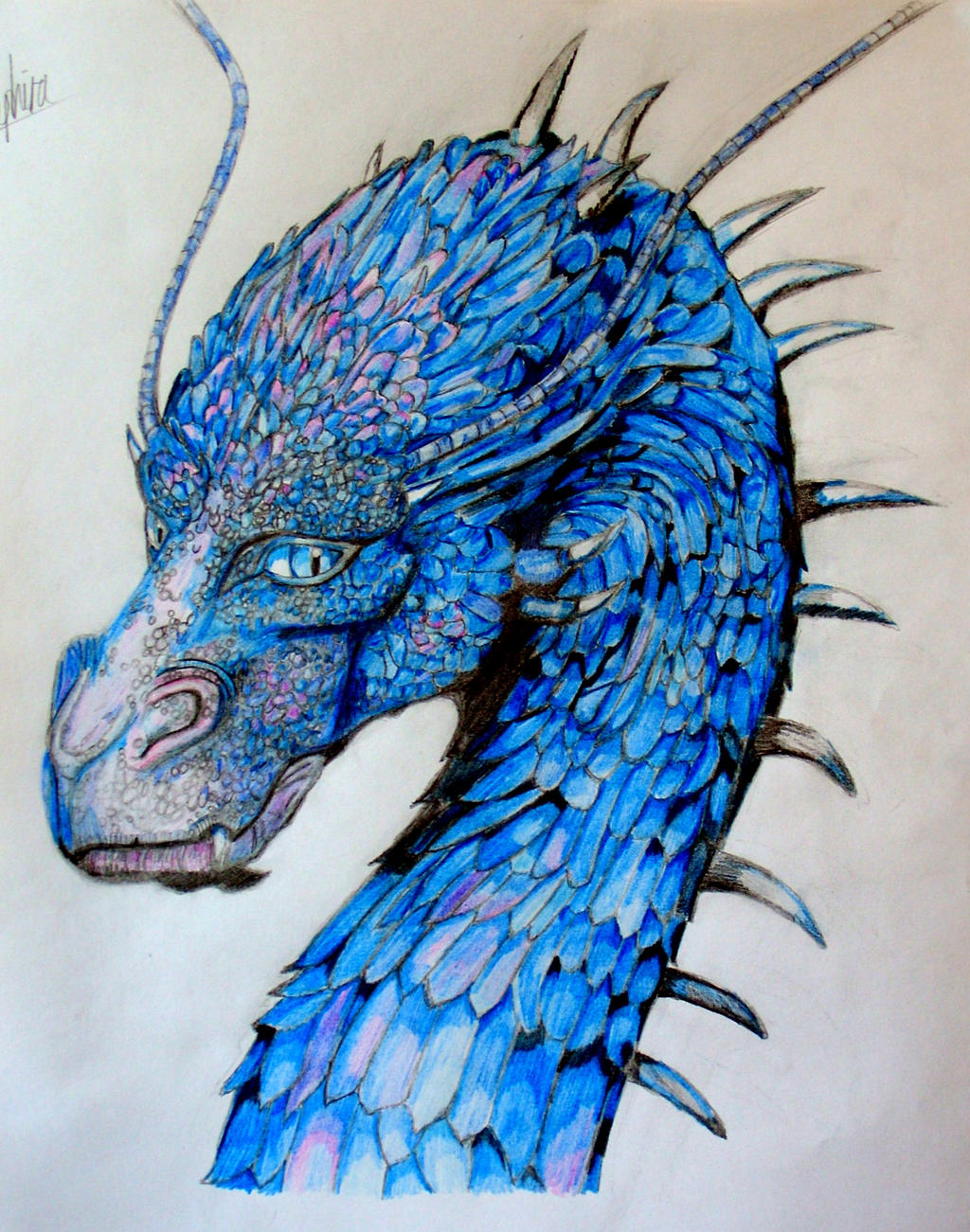 Saphira - The Inheritance Cycle