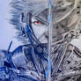 Raiden - Metal Gear