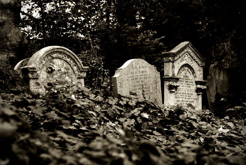 Abney Park Cemetery IV