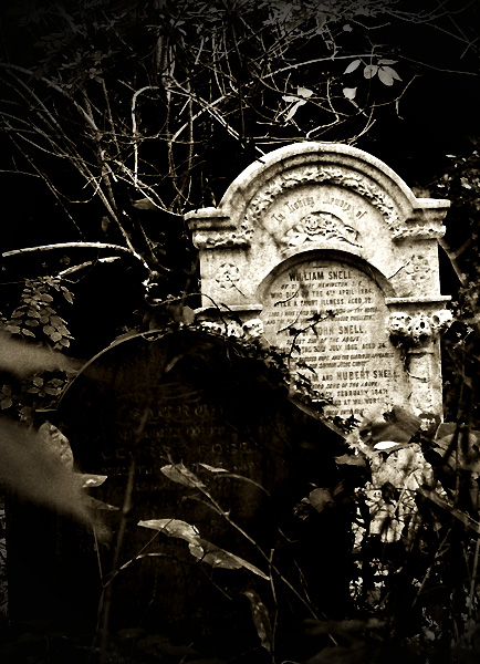 Abney Park Cemetery XI