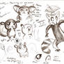 doodle Lemur -Madagascar