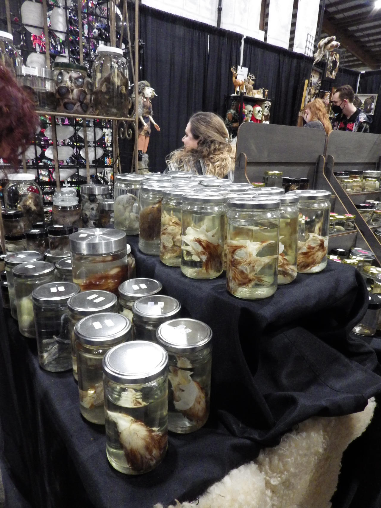 Oddities and Curiosities Expo by tales06 on DeviantArt