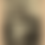 Chapter 1: Acolyte of Chaos Cover