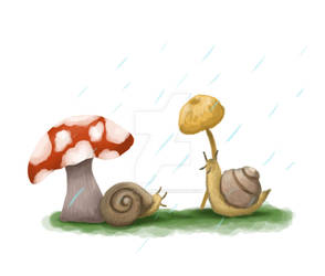 Snails In The Rain Illustration