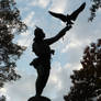 the falconer