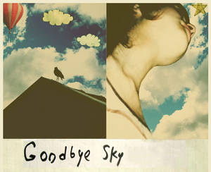 Goodbye Sky