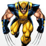 Art Adams Wolverine