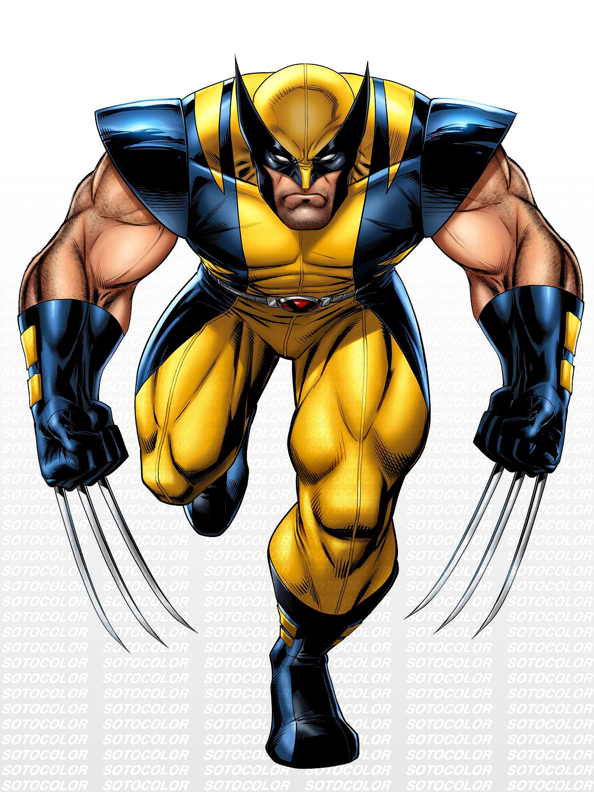 Art Adams Wolverine