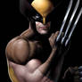 Classic Wolverine