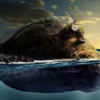 Sea Turtle Photo's Manipulation