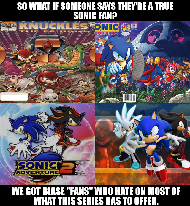 True Sonic Haters