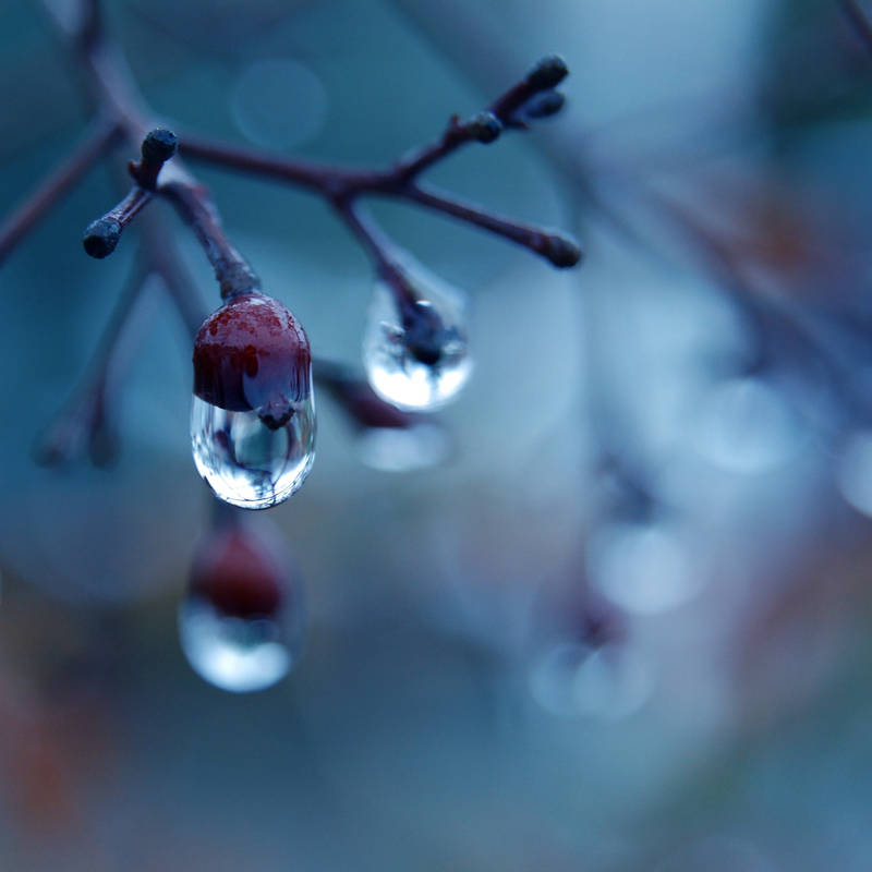 Loney Winter by JVarriano