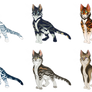 [flatsale/ota] cat adoptables iv open