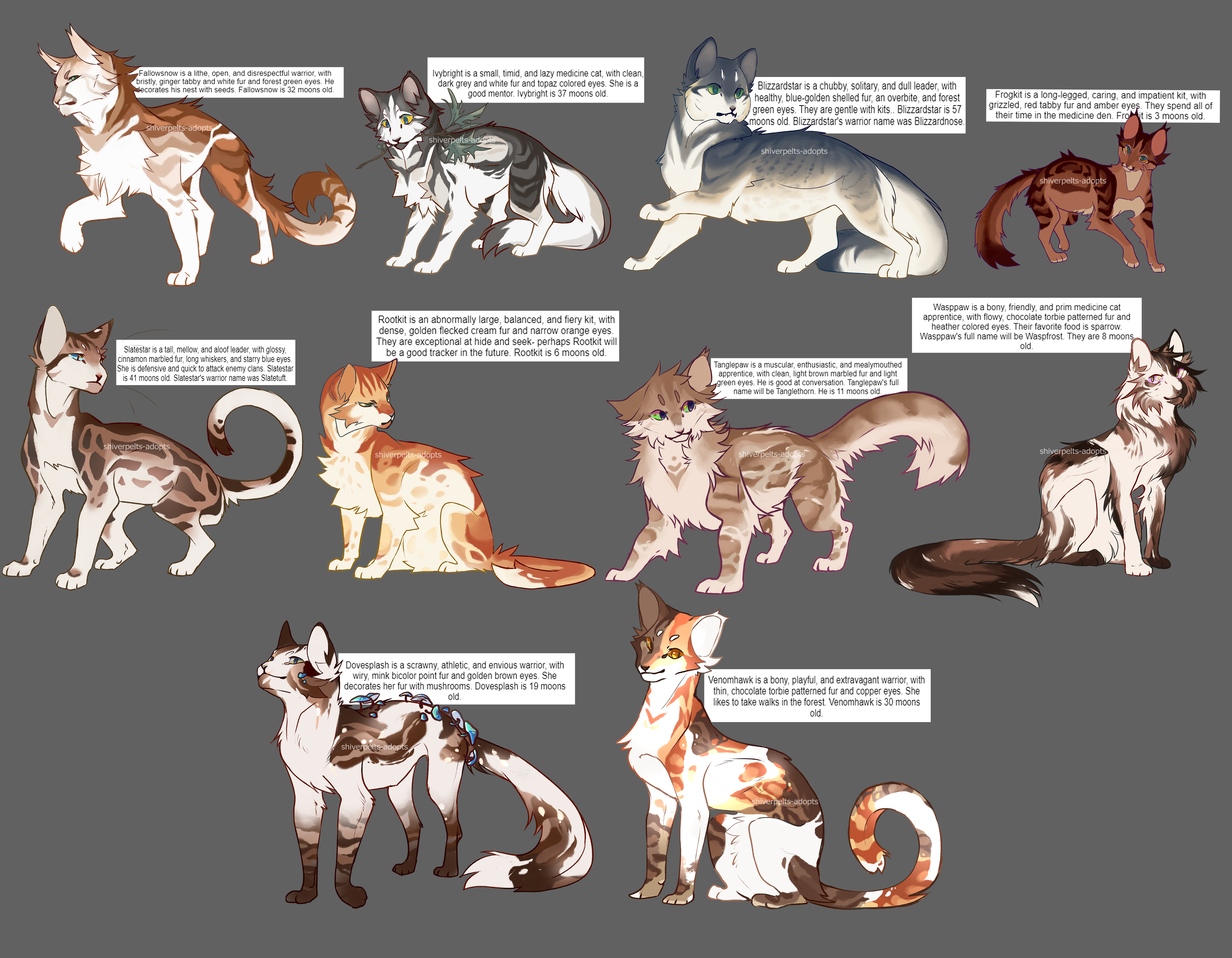 Warrior Cats Name Generator Adopts - (3/3 OPEN) by daisyrazors on