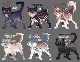 [flatsale] base cat adopts [open]