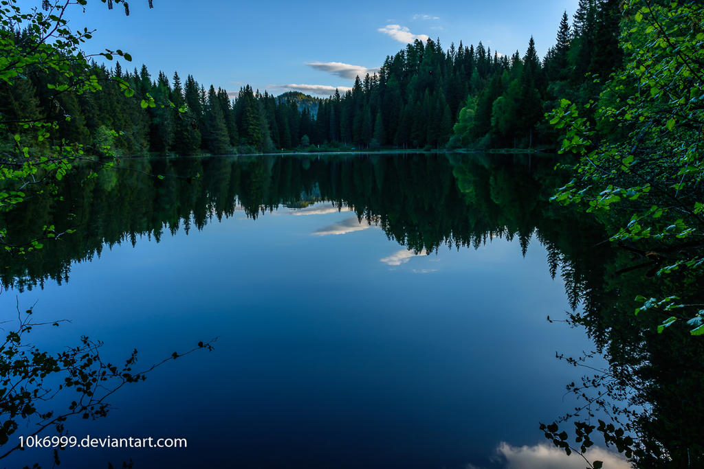 Lake in the woods