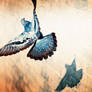 fly,fly away