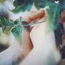 caress