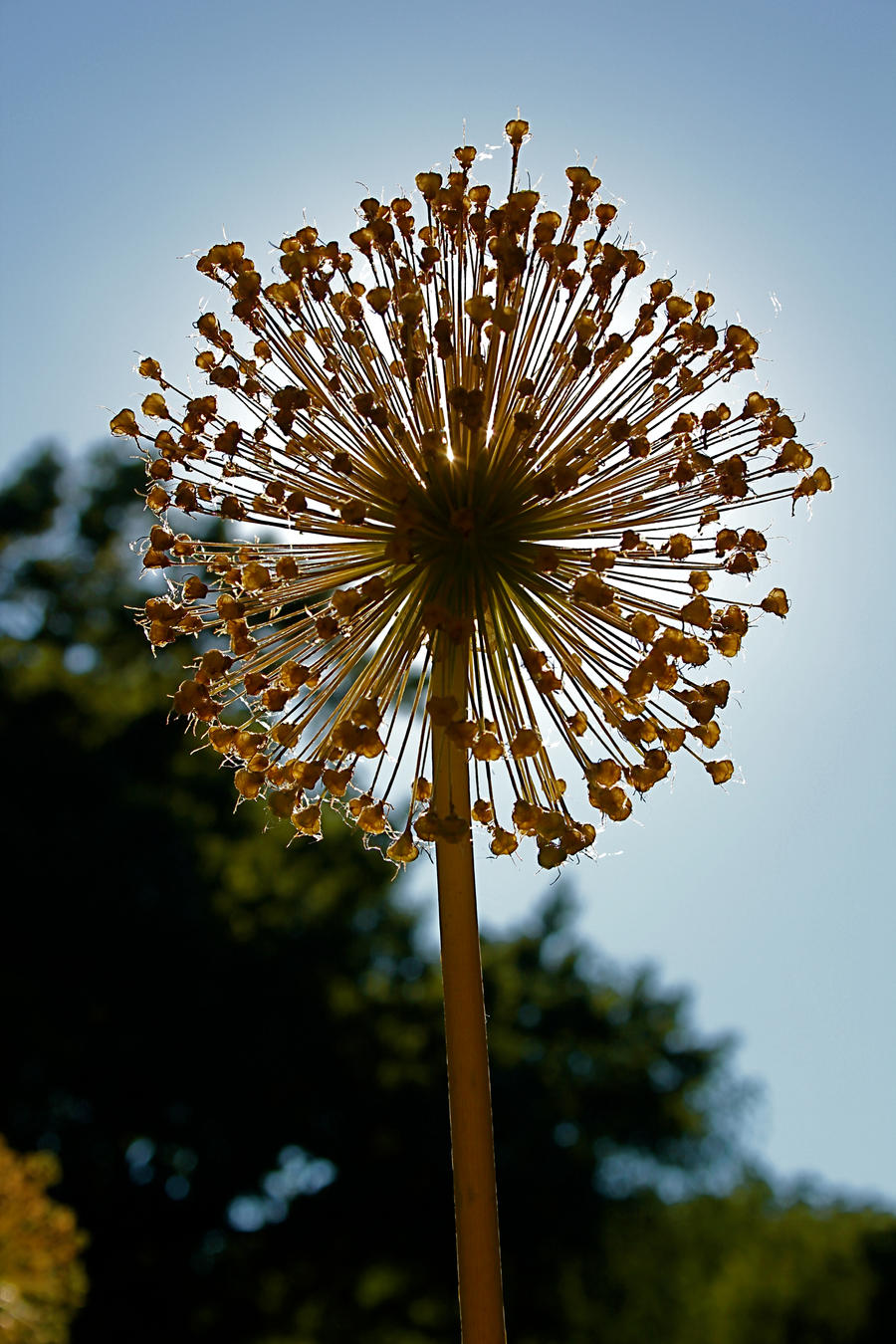 Blocking the sun