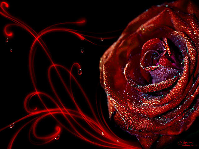 BLEEDING IN BETWEEN by morningstarskid BLEEDING IN BETWEEN by morningstarskid