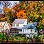 The Lake House