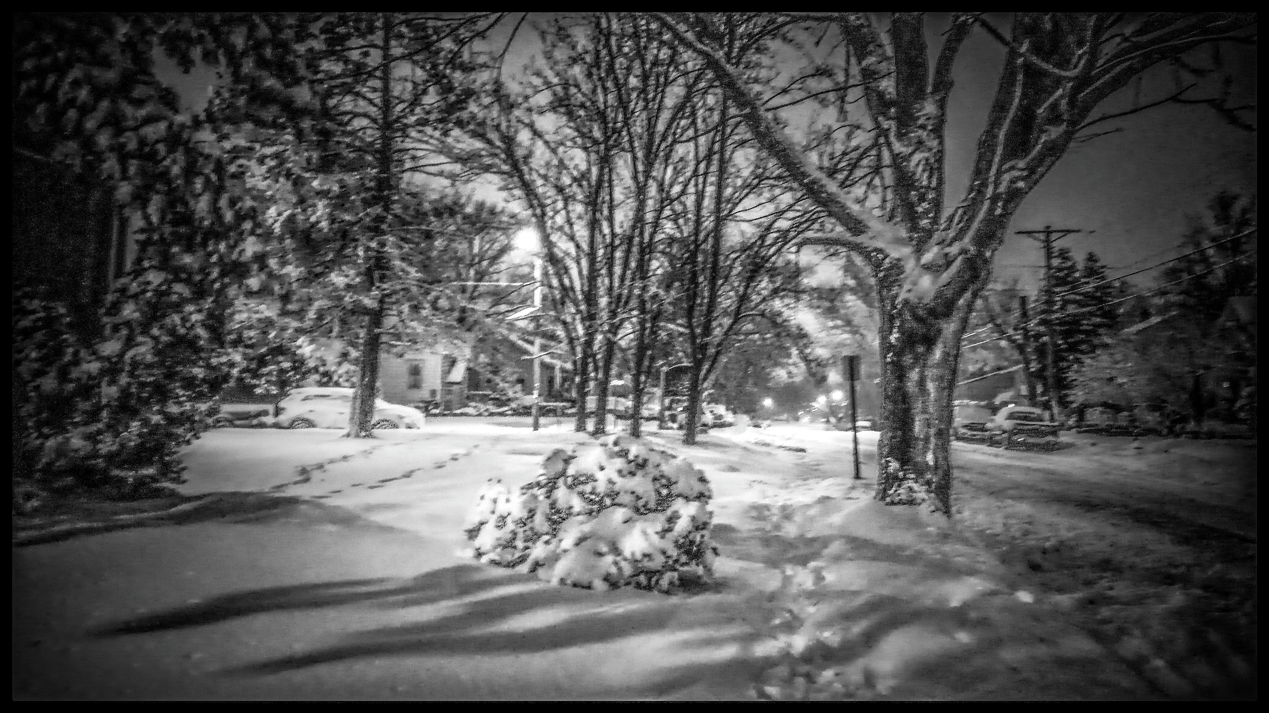 Snow Scene ....Street Lights